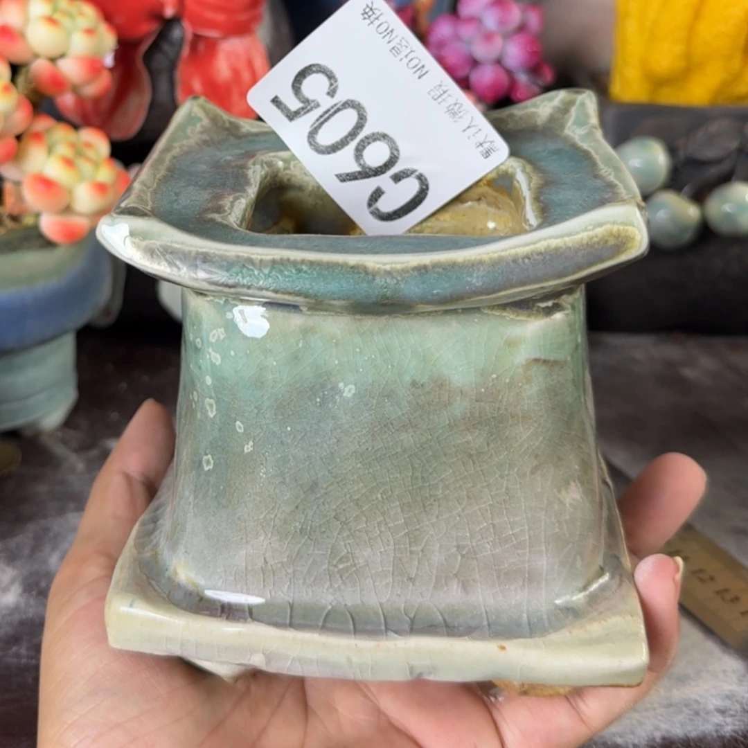 重庆小燕子欢迎那家605