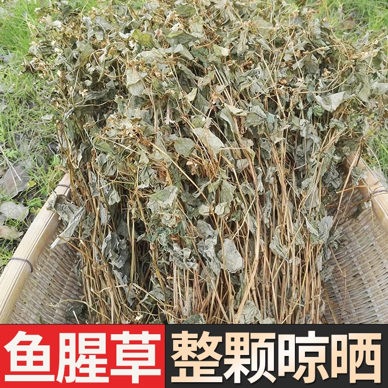 湖南鱼腥草折耳根干货农家无硫整颗晒干泡水泡茶500克包邮