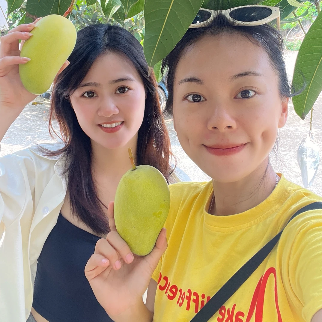 广西百色桂七芒新鲜优质农产品香甜多汁芒5斤/9斤包邮【礼盒装】