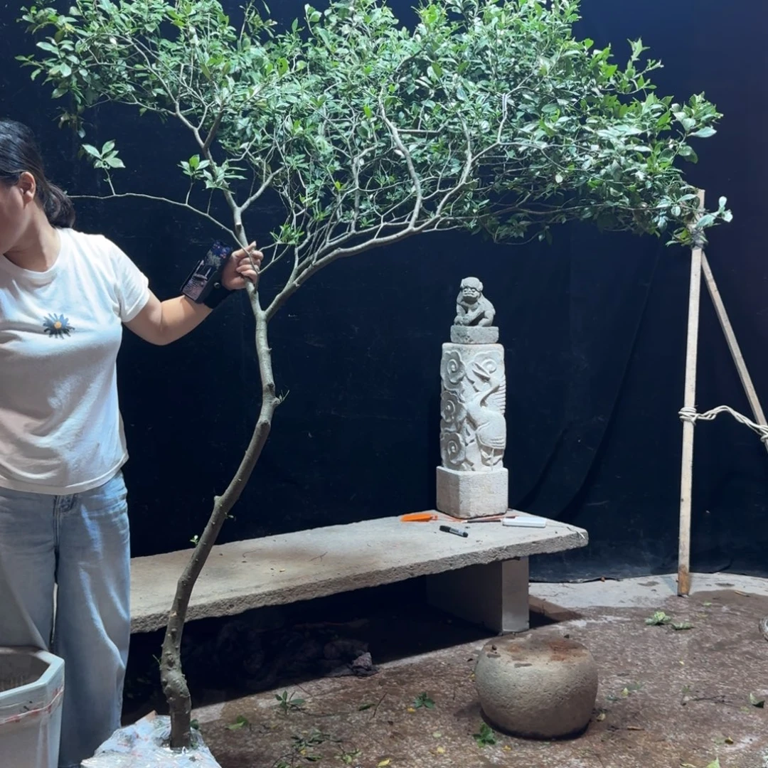 马***速完全开放栀子花造型树一物一拍