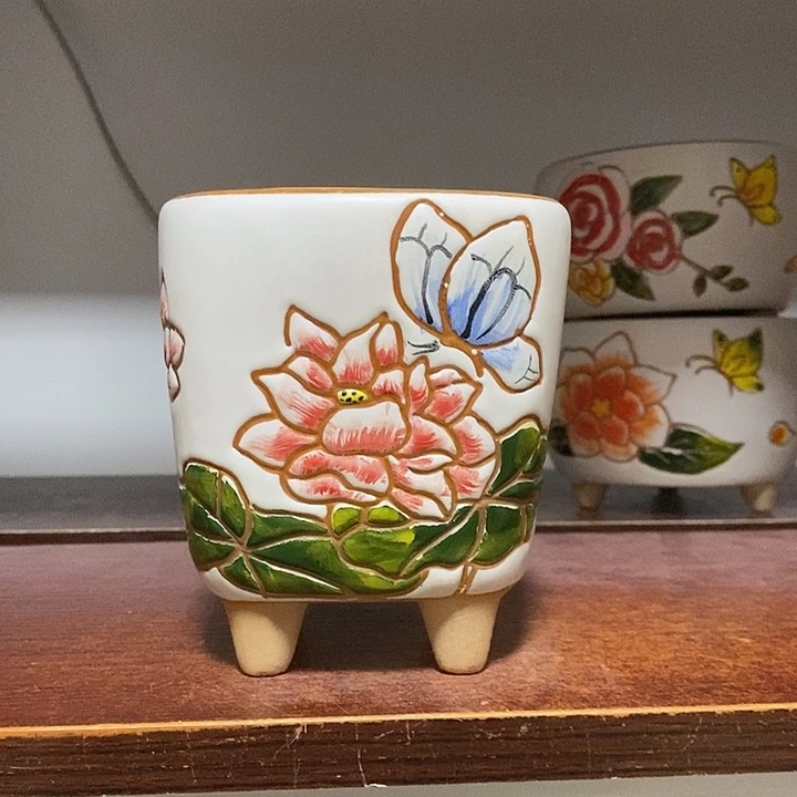 窦*韩式多肉植物花盆