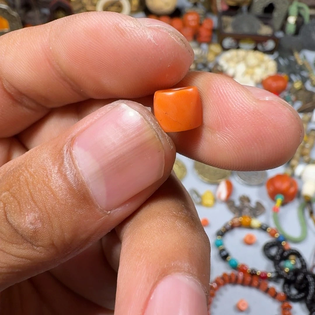黑果木?**丽珠子漂亮的