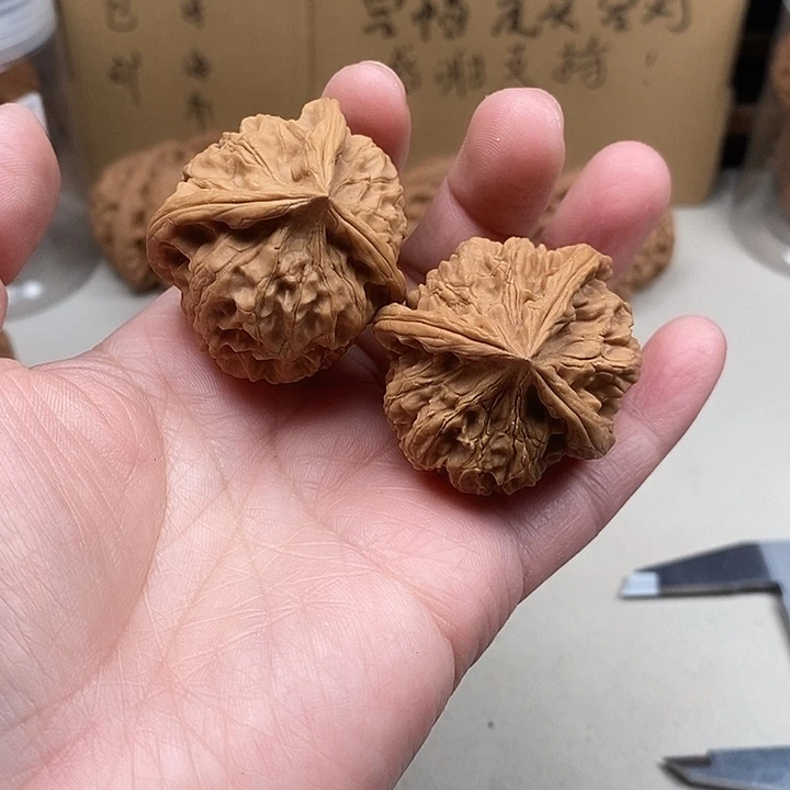 冰***g木质类5.5.5.5.5.5.5.5