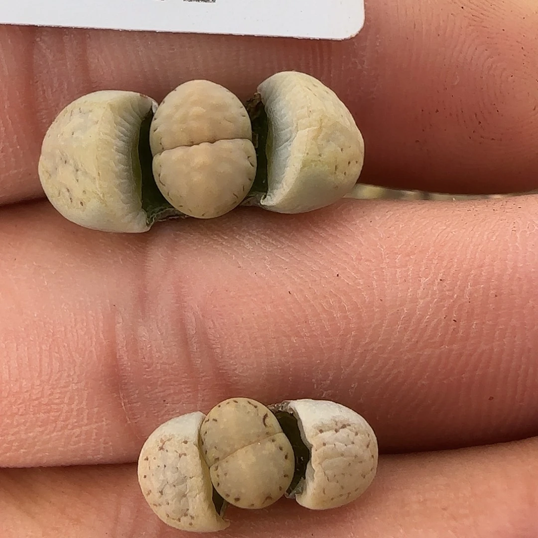 8902。不大。。。。。。。。