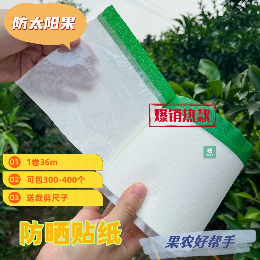 柑橘防晒贴纸太阳果贴纸防晒伤防高温白色降温快批发水果防晒贴纸