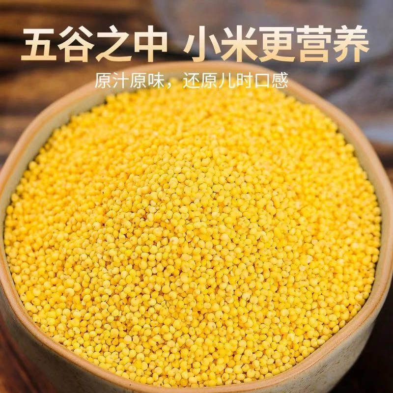 【助农】农家黄小米营养丰富粘糯笨小米适合熬粥煮饭月子五谷杂粮