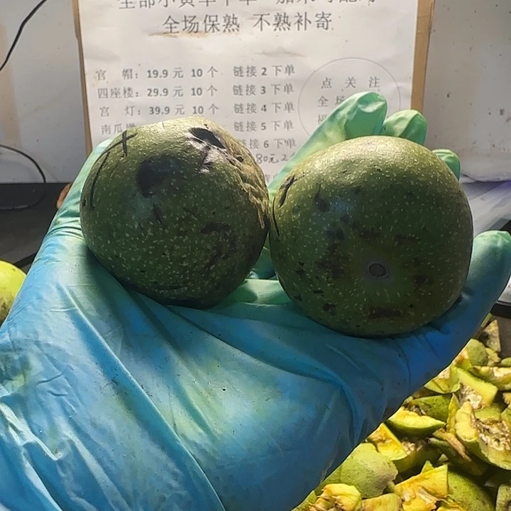 吊坠文玩核桃白狮子大2