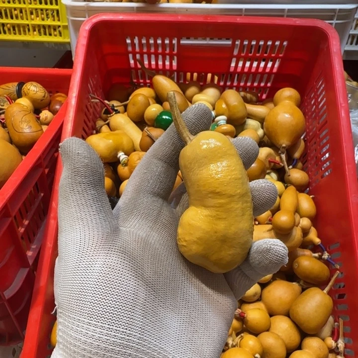 观***观哈哈哈哈哈哈哈哈哈哈哈哈