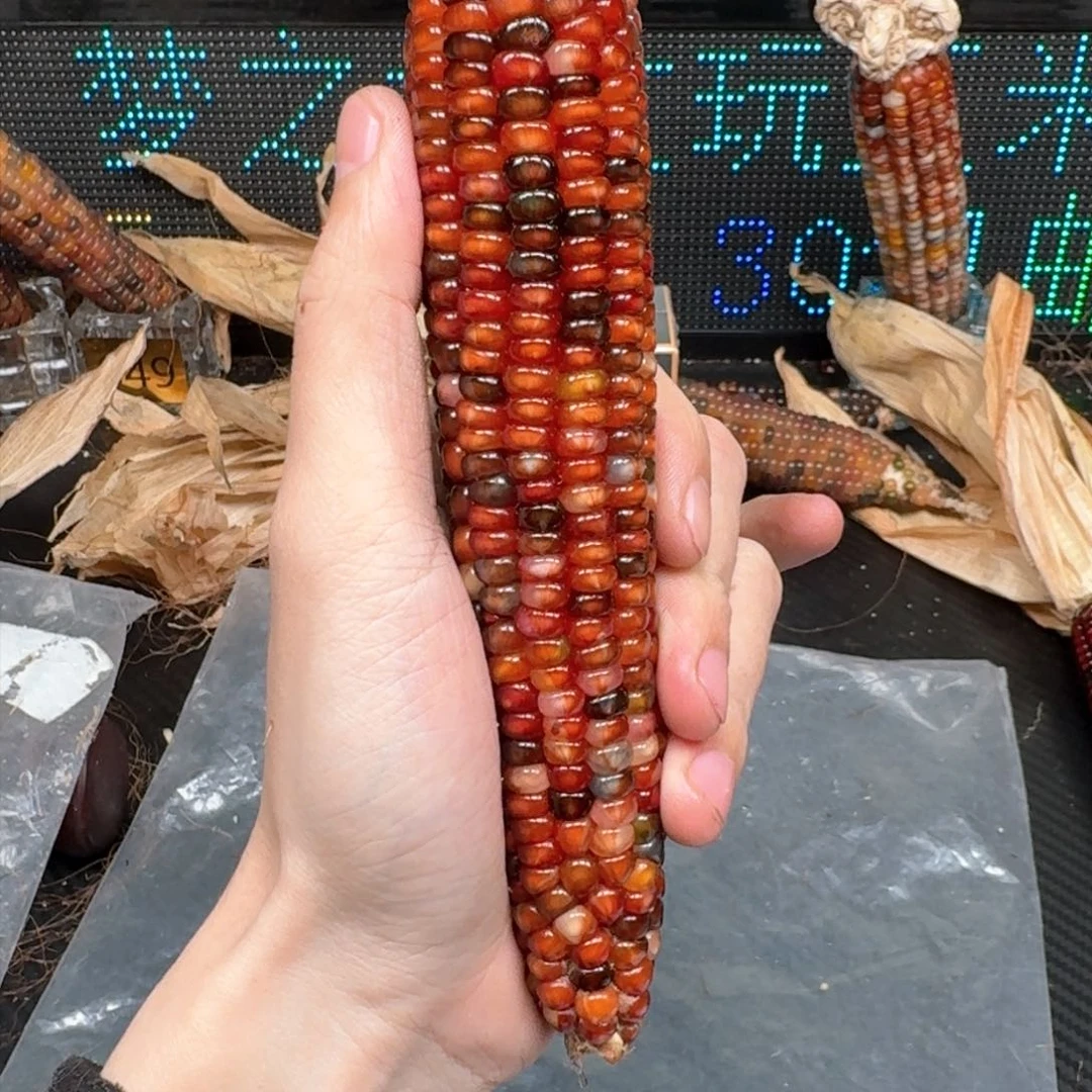 柏香籽/百香籽吊坠柚***檬