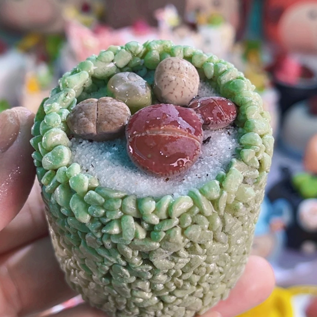 08手工盆生石花连盆带土包邮