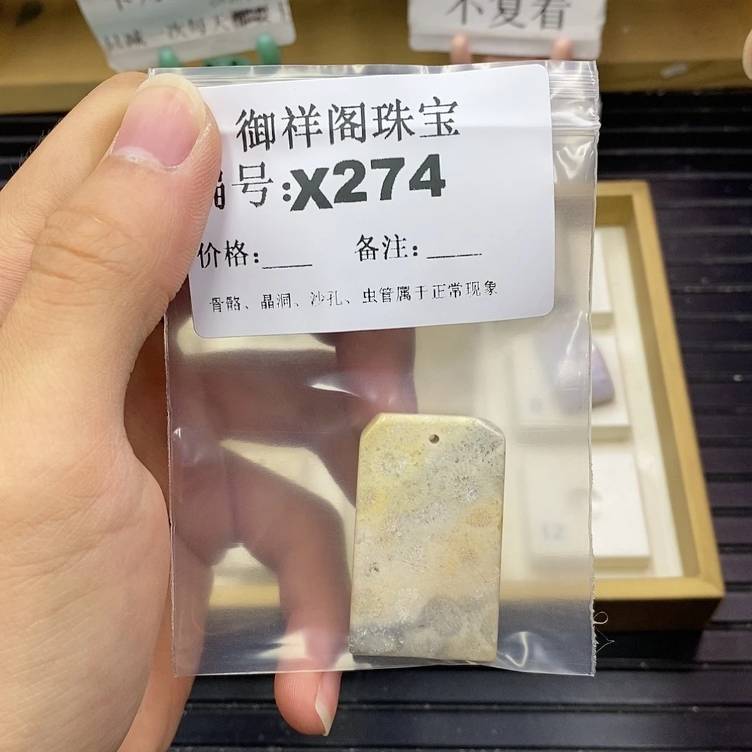 硅化珊瑚（珊瑚玉）未镶嵌颈饰三*_