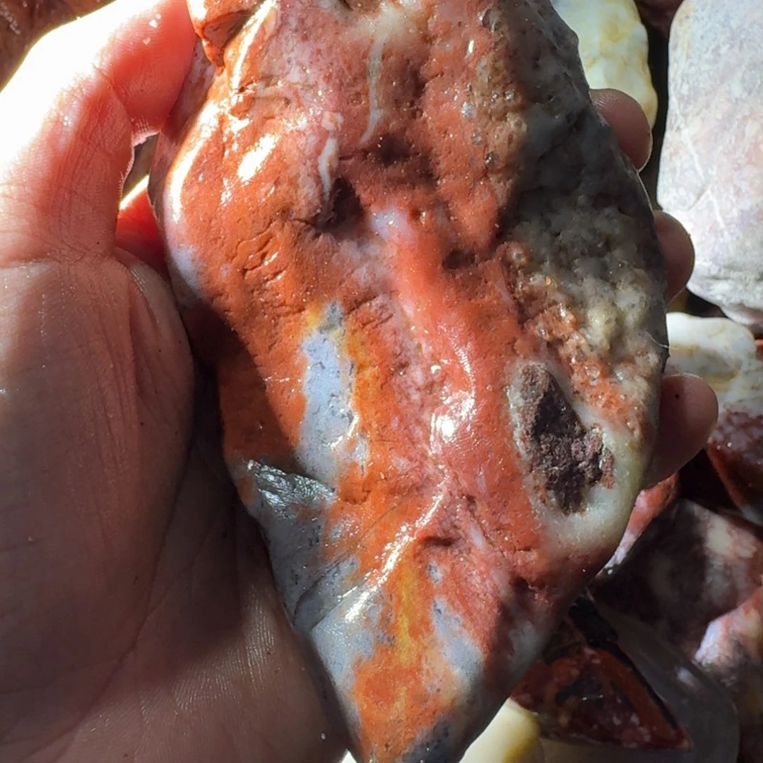 青***房寿山石88998888999988