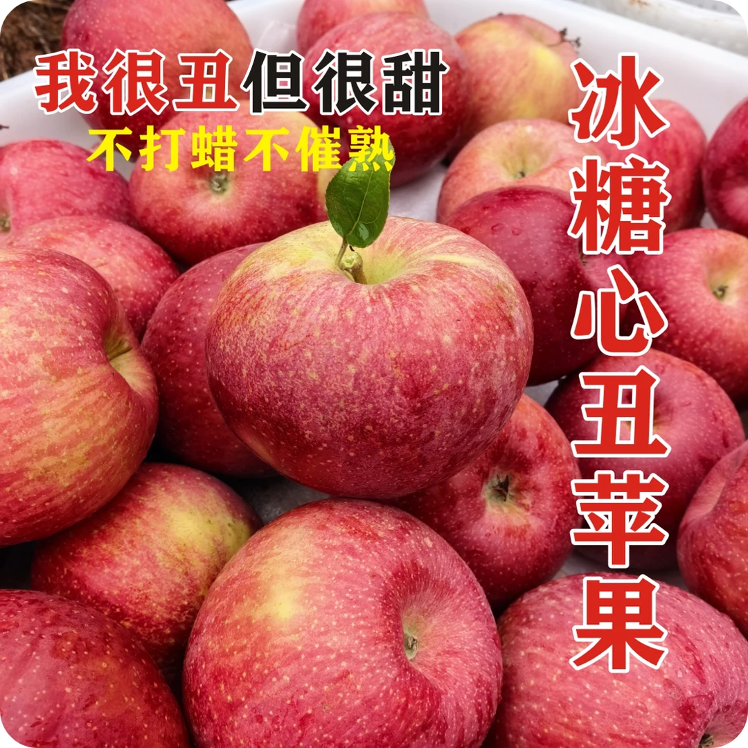 高山糖心丑苹果 新鲜脆甜多汁 现摘水果