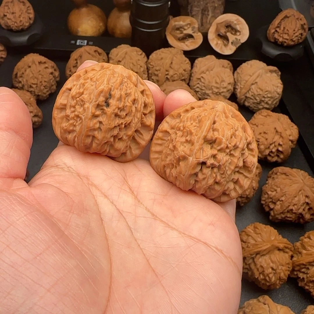 40尺全品无修白狮子