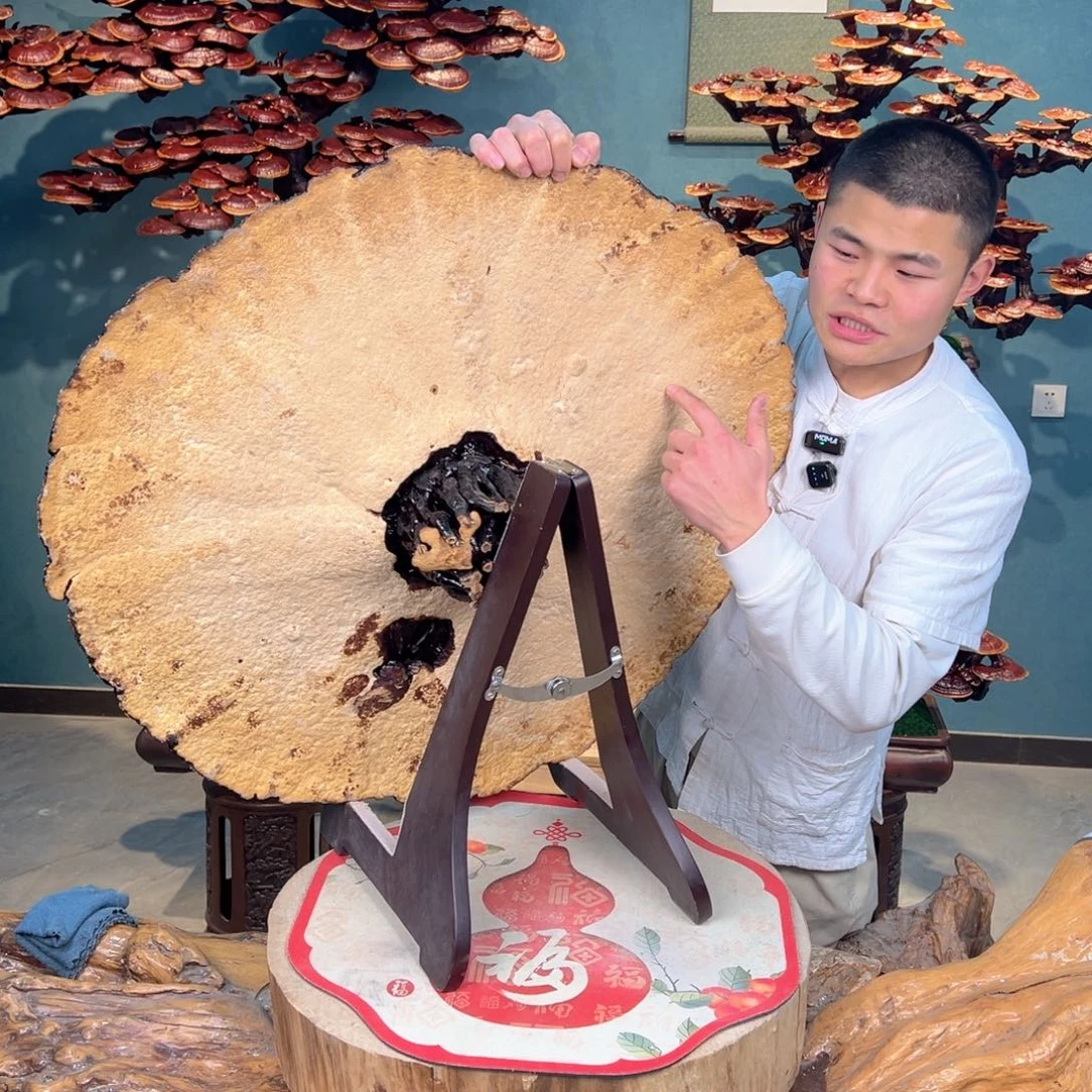 无花朵68868686868686