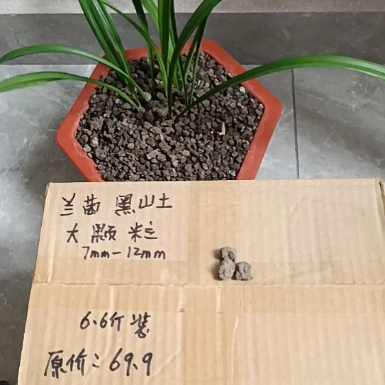 百***排兰菌黑山土大颗粒6.6斤