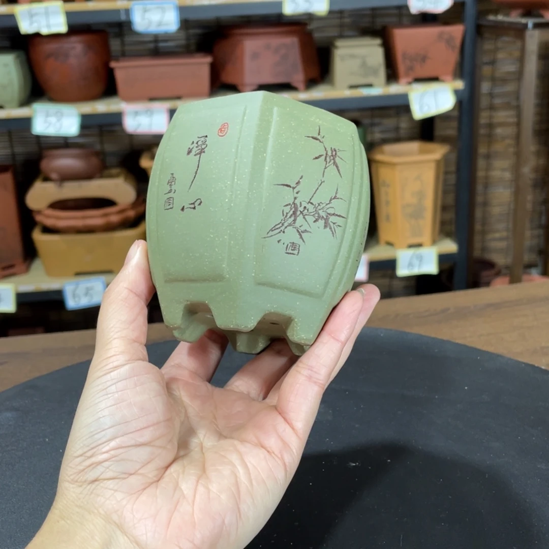 花盆紫砂我们是真的