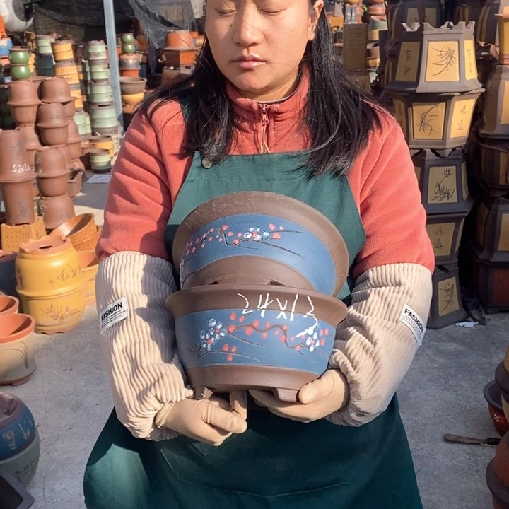 紫砂花盆盆栽花卉苗木种植