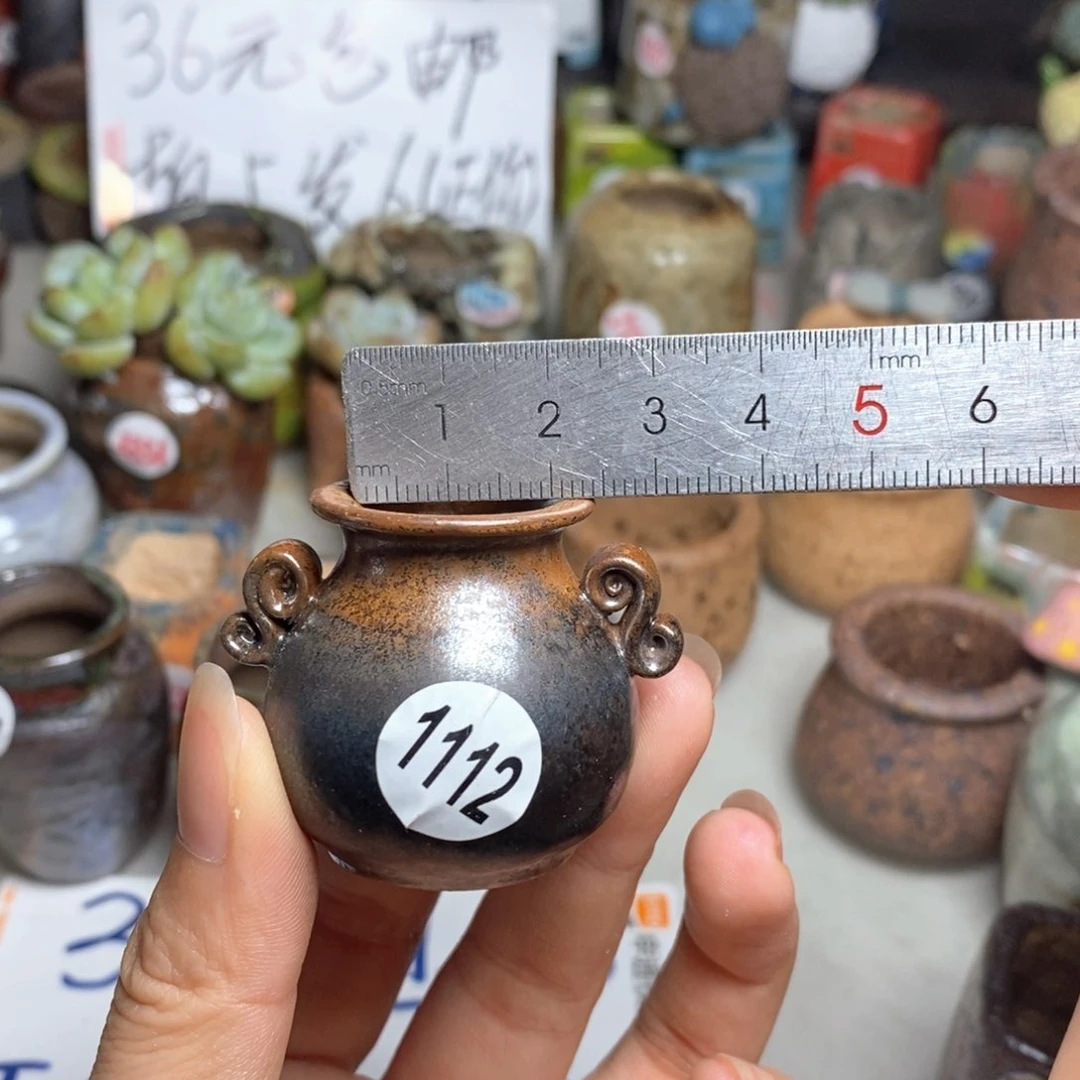 拍5送一个小礼物