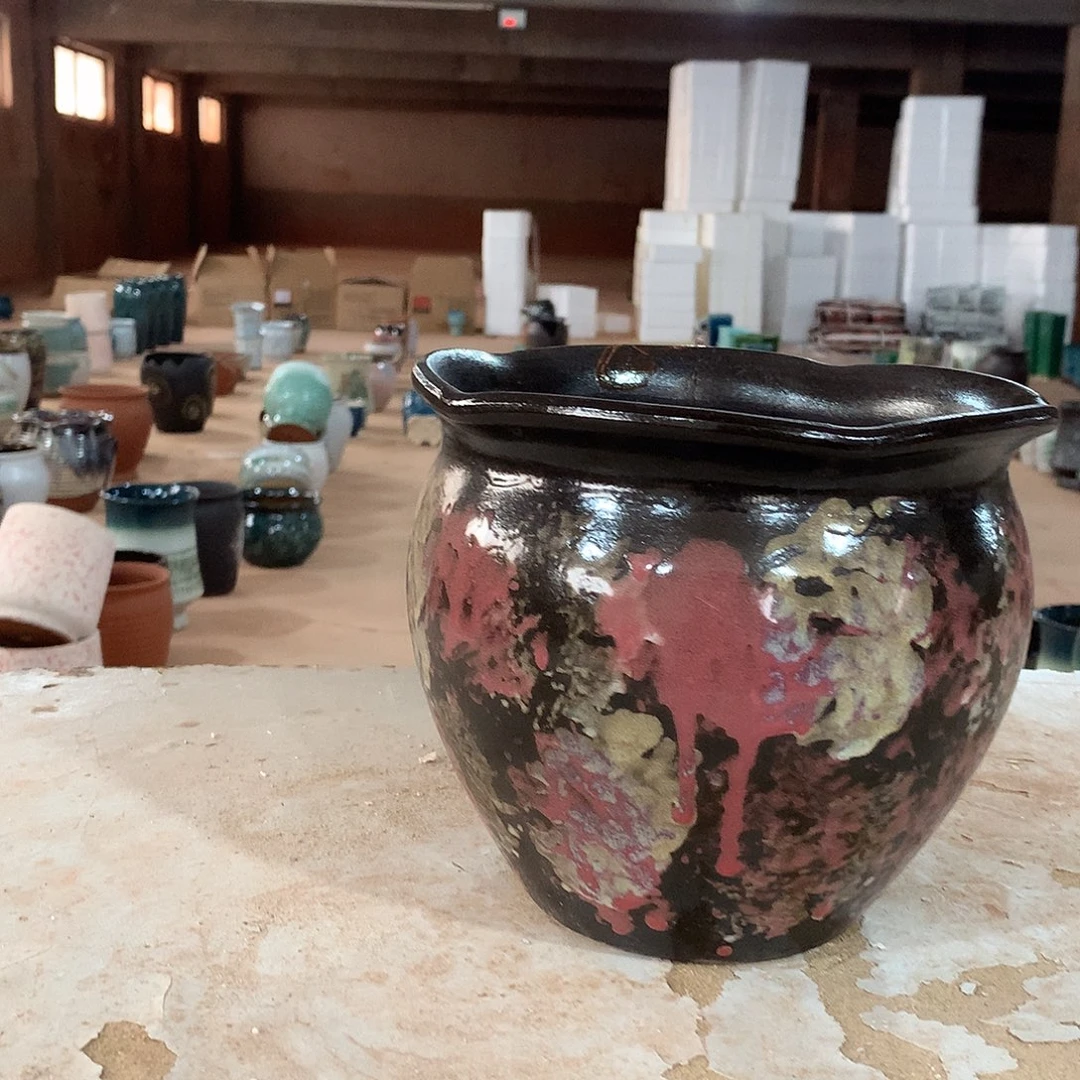 花盆啦啦啦啦啦啦啦咯