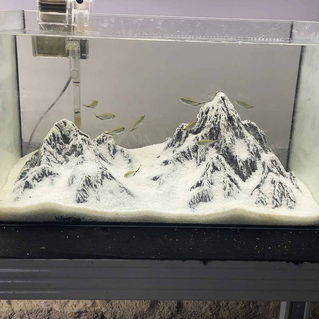 方一号链接大号景49长包邮