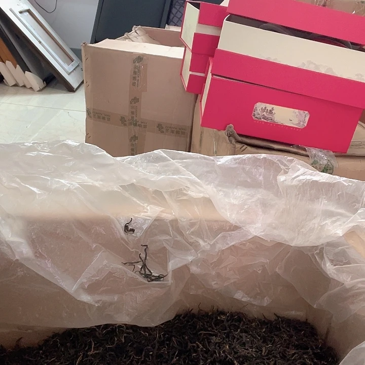 国画红茶白茶茶品试喝