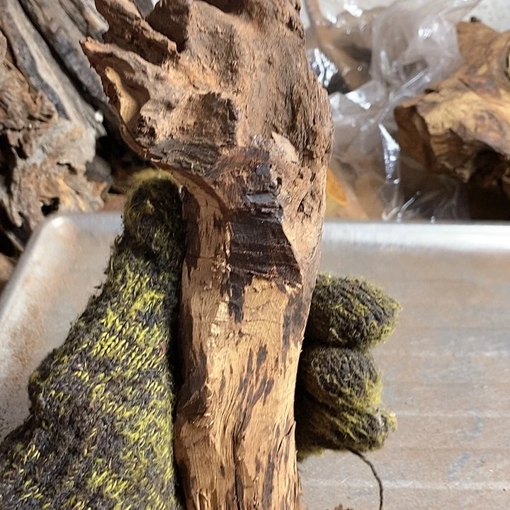 黄花梨/降香黄檀花**人