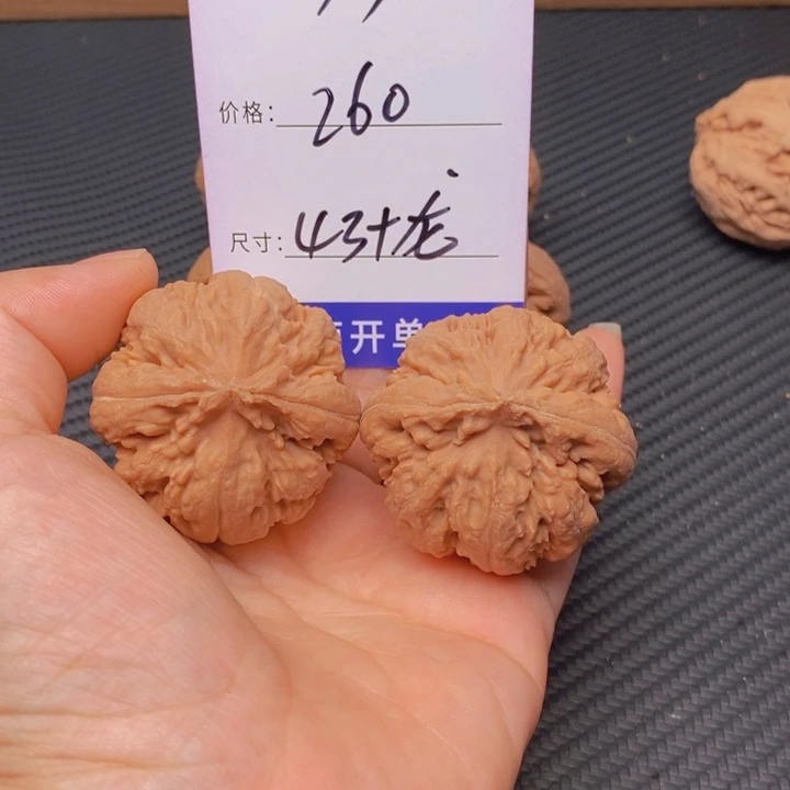 文玩核桃霸王龙核桃