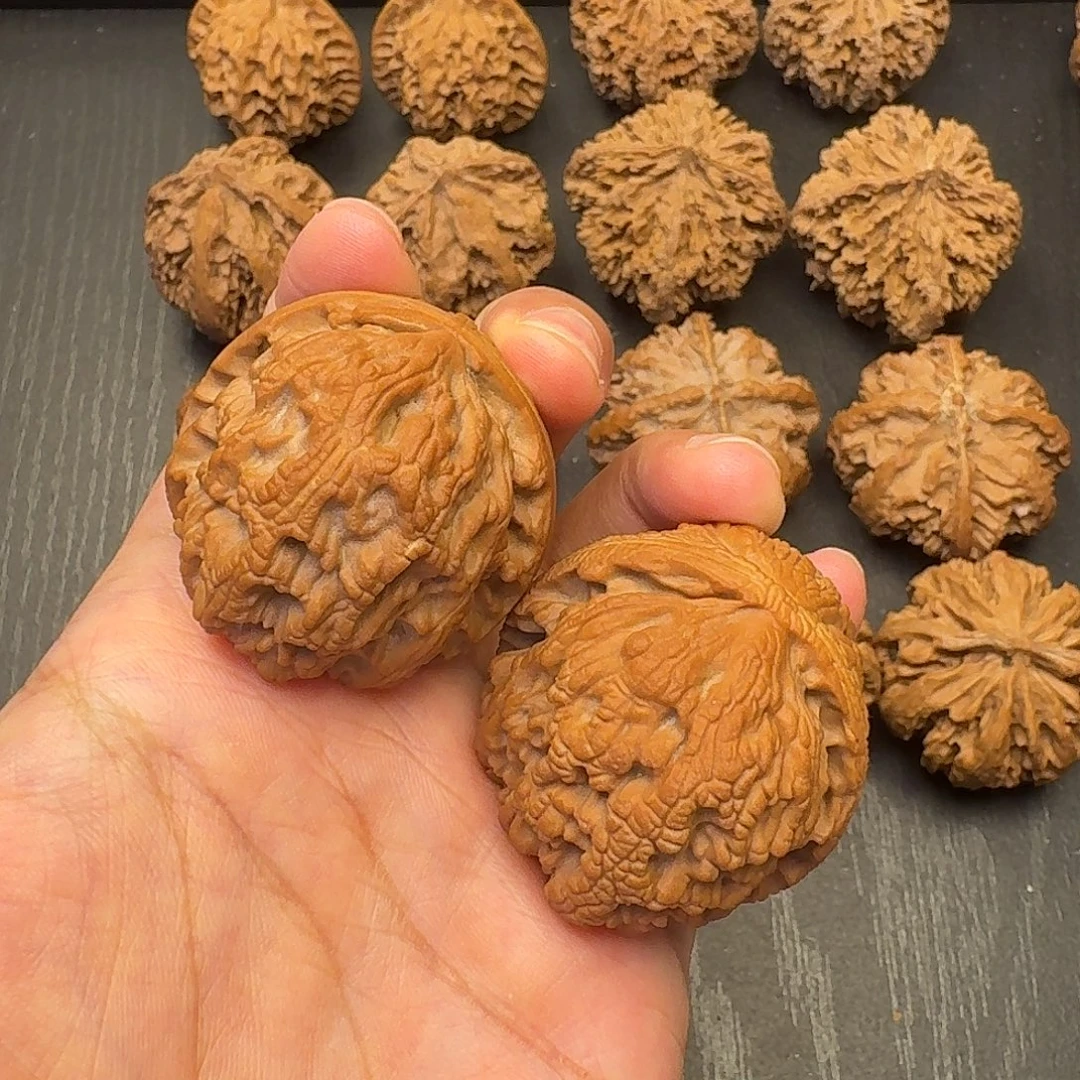 核桃突突突突突突突突突突突