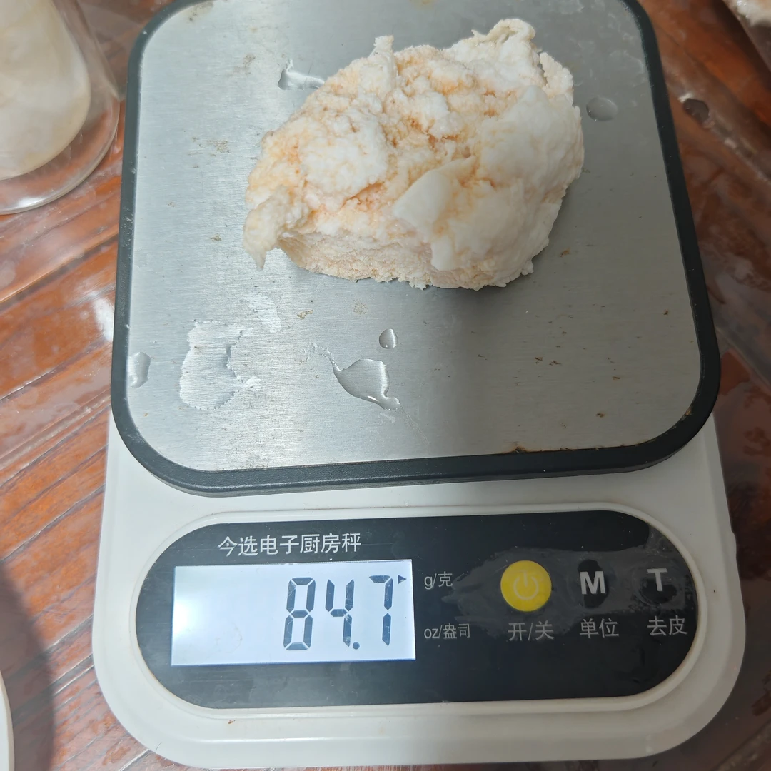 长白山野生石太岁 直播间一物一拍