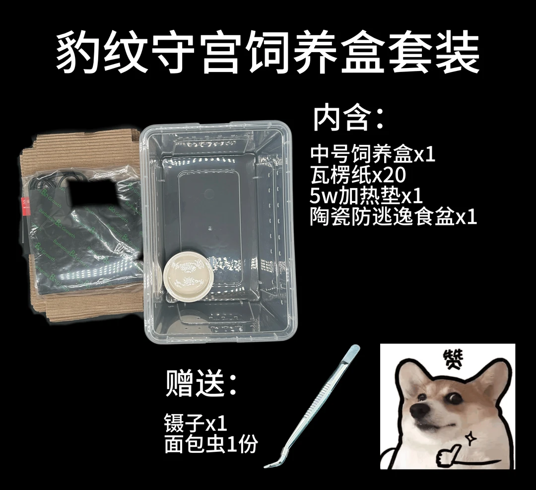 豹纹守宫豹猫守宫饲养盒水盆防逃逸饭碗，赠送钙维粉，过度粮