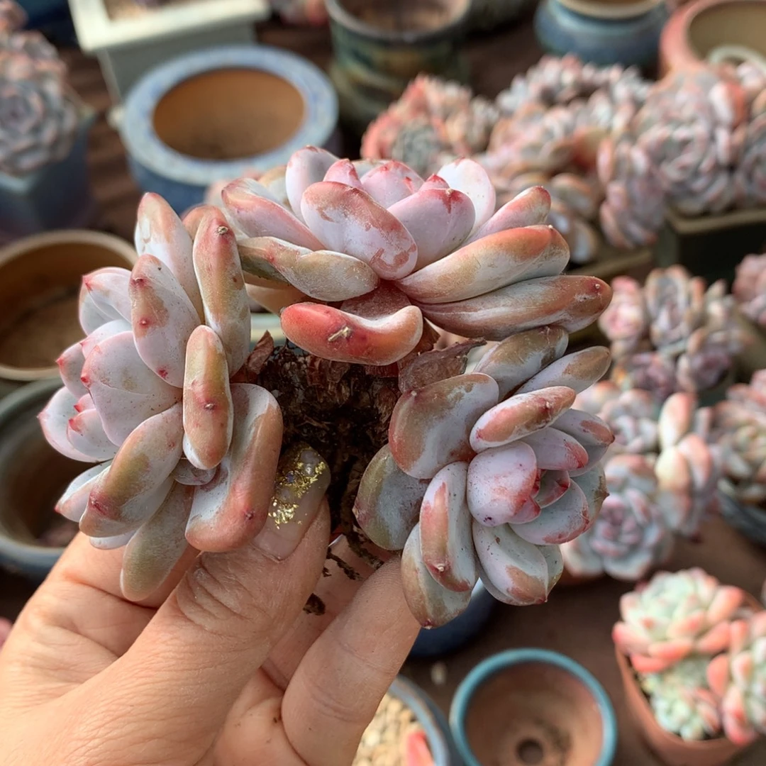 哈哈哈哈哈哈哈哈哈哈