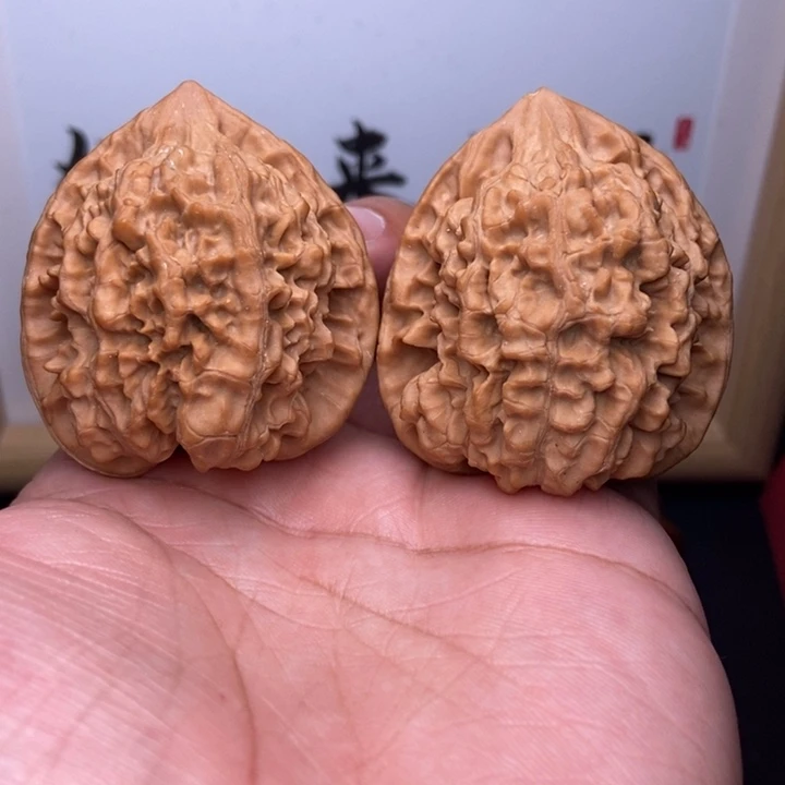 核桃全品小尺官帽