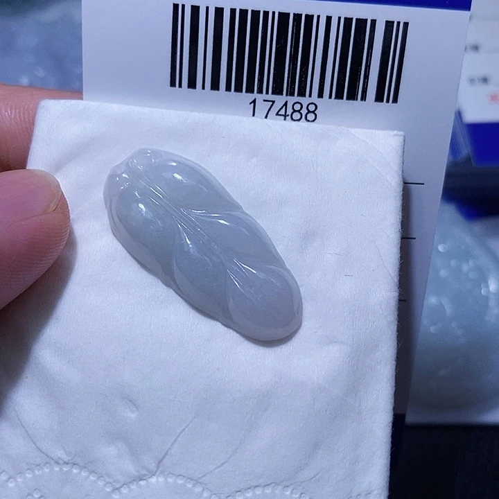颈饰未镶嵌翡翠是