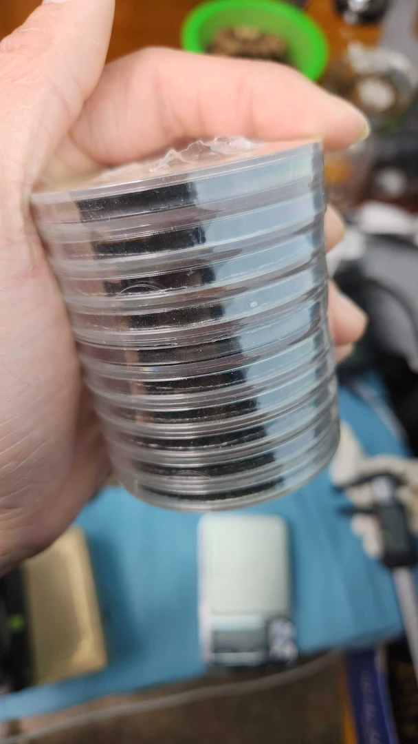 大祥云香10片装冥想级祥云香发一