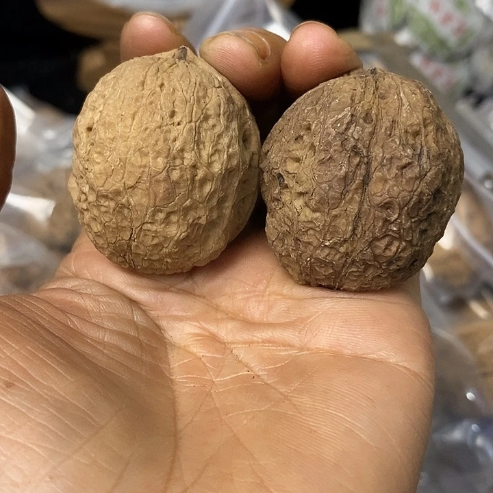 核桃云南铁核桃基地115