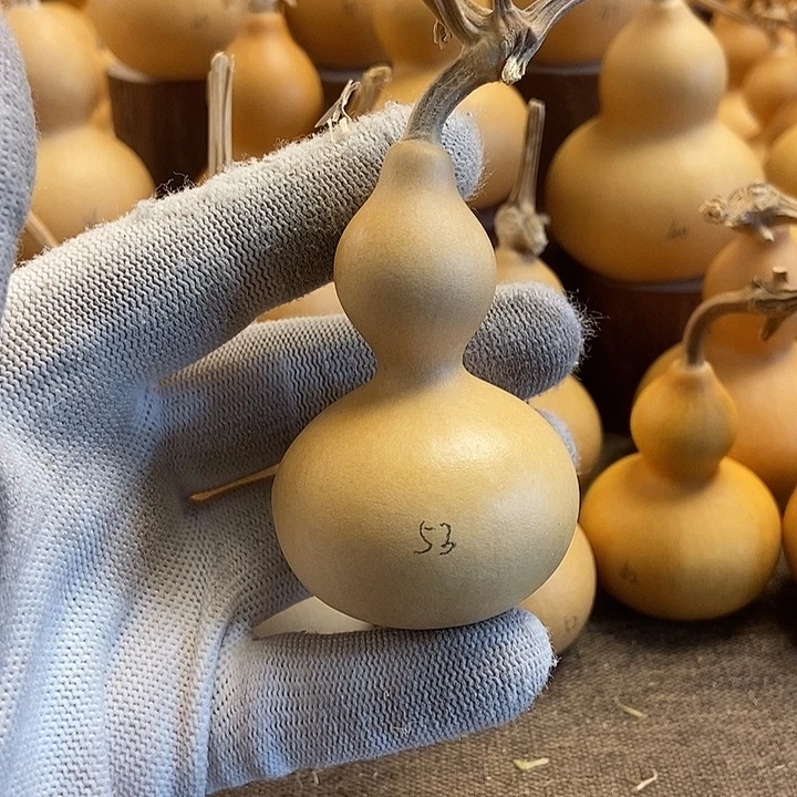 文玩葫芦 完美主义者 慎拍53