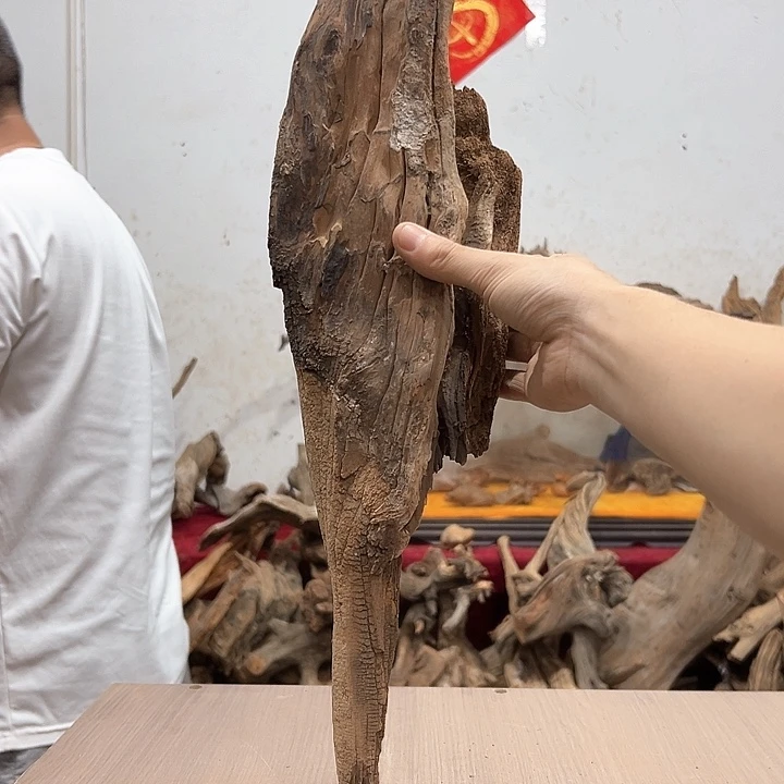 柏木呆*呗我们都是好孩子呀我