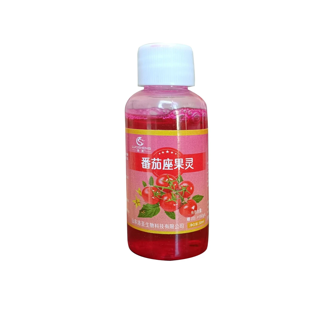 番茄授粉座果灵点花促进保花保果防落花栽培提高座果率生物水溶肥
