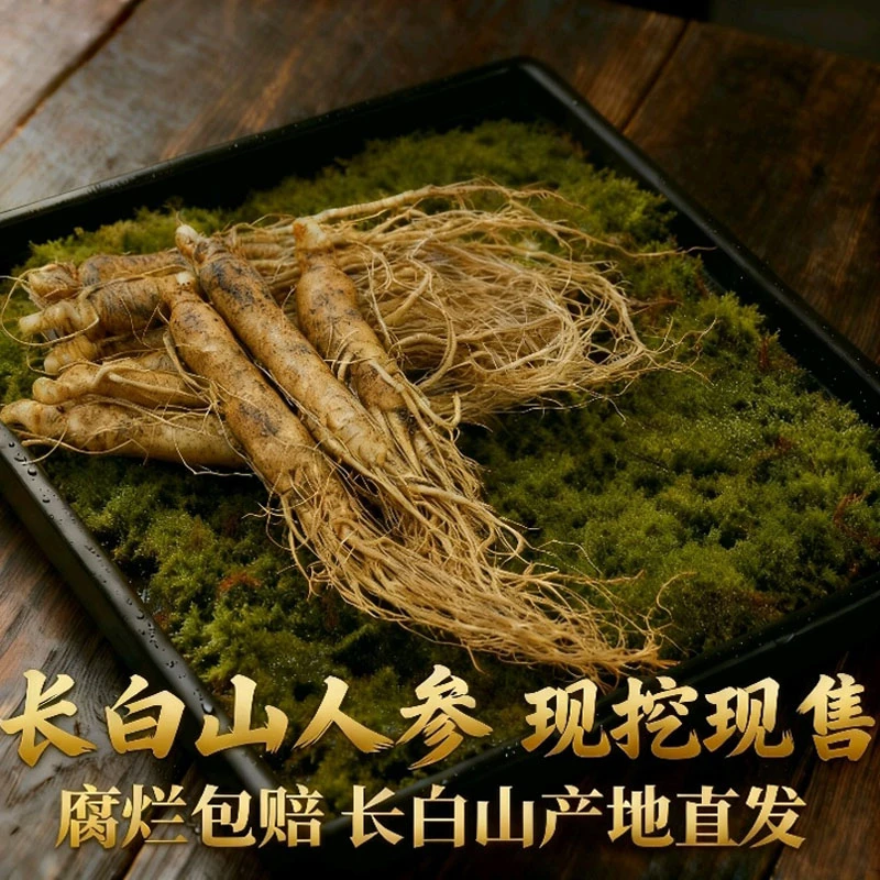 长白山鲜参原产地直发 8-10支一斤顺丰空运 泡酒送礼首选