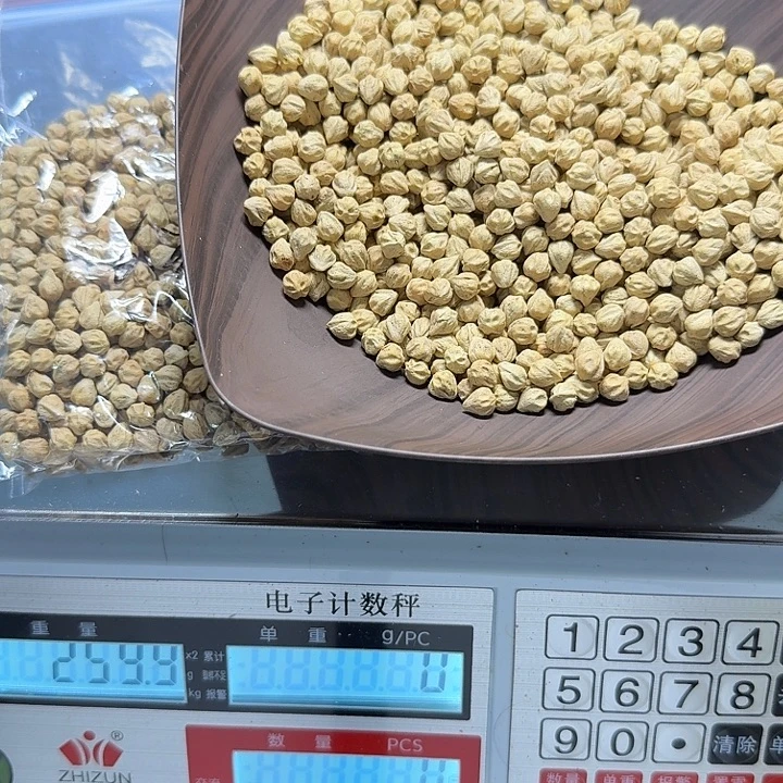 柏香籽/百香籽吊坠