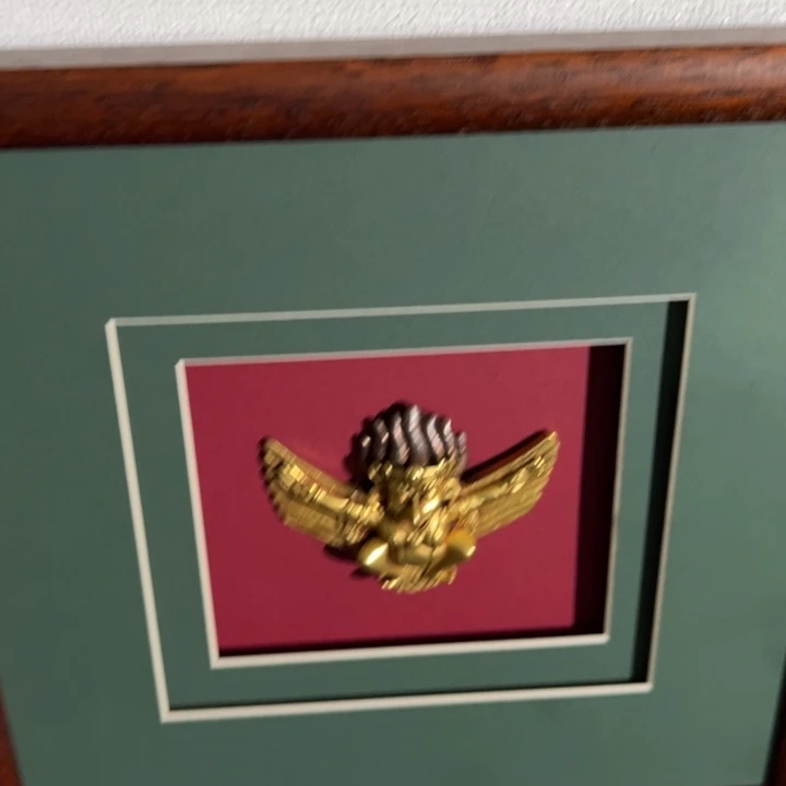 吊坠菩提根/象牙果