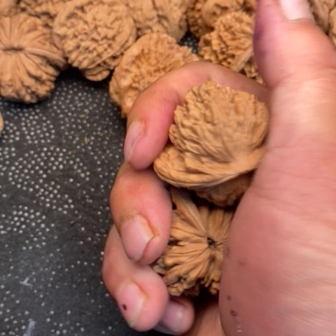 文玩核桃把件西楼1.1