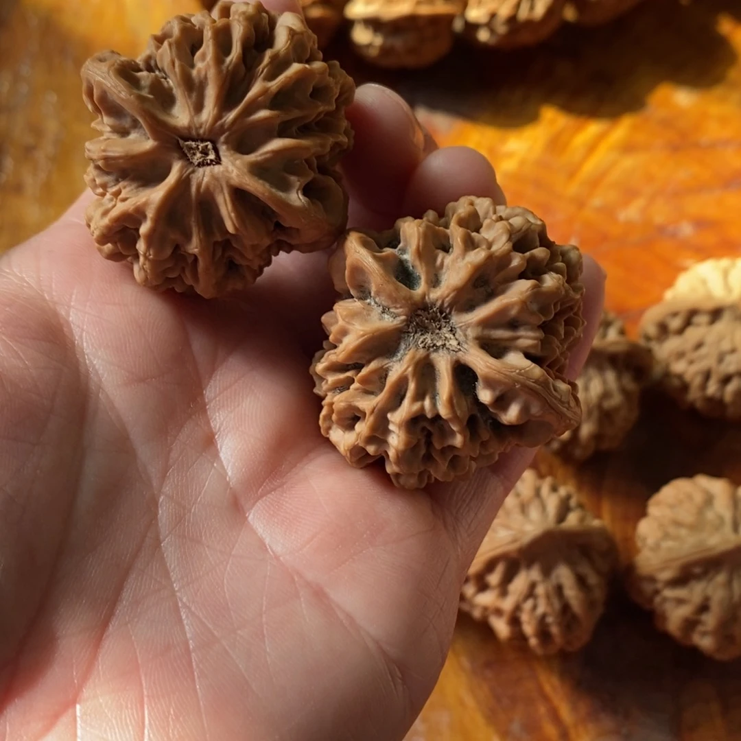 秦岭野生核桃秦闷