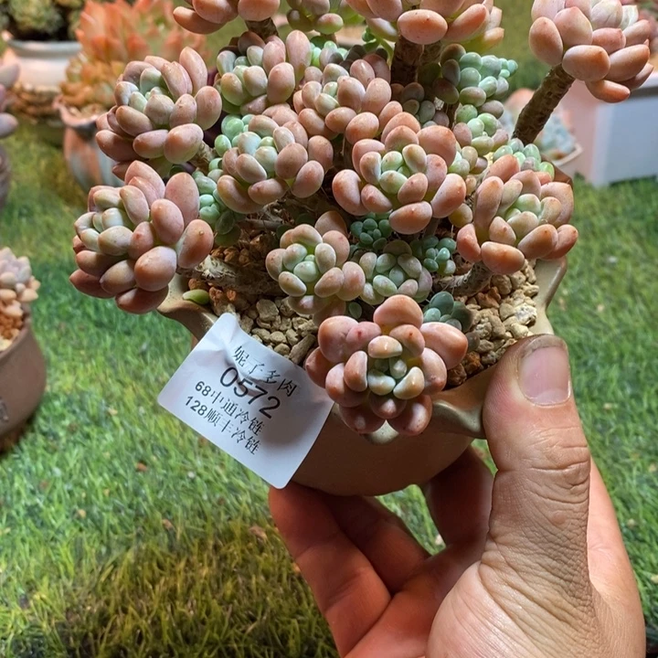 0572啊啊啊啊啊啊啊啊啊啊