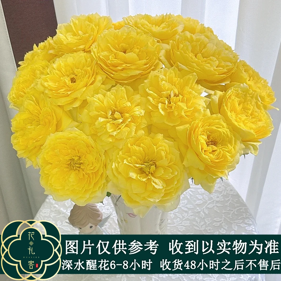 七叶花坊# 【艾琳娜】鲜花优选 顺丰直发