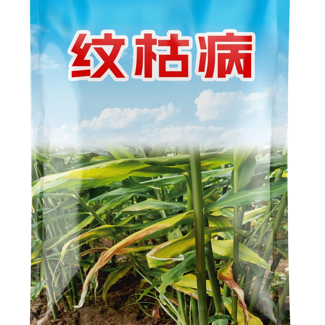 生姜纹枯病套装有效预防