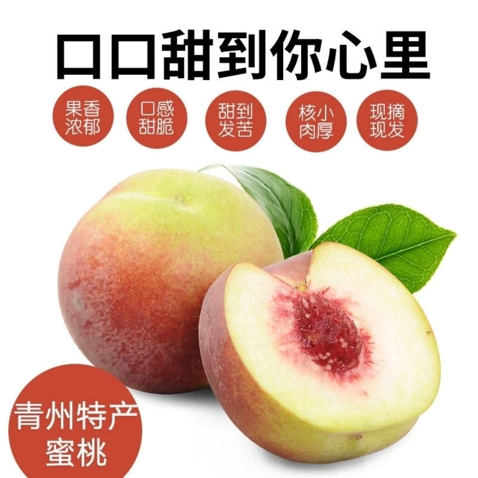 山东青州蜜桃青皮桃子当季现摘脆桃新鲜冬桃甜桃蜜桃毛桃孕妇水果
