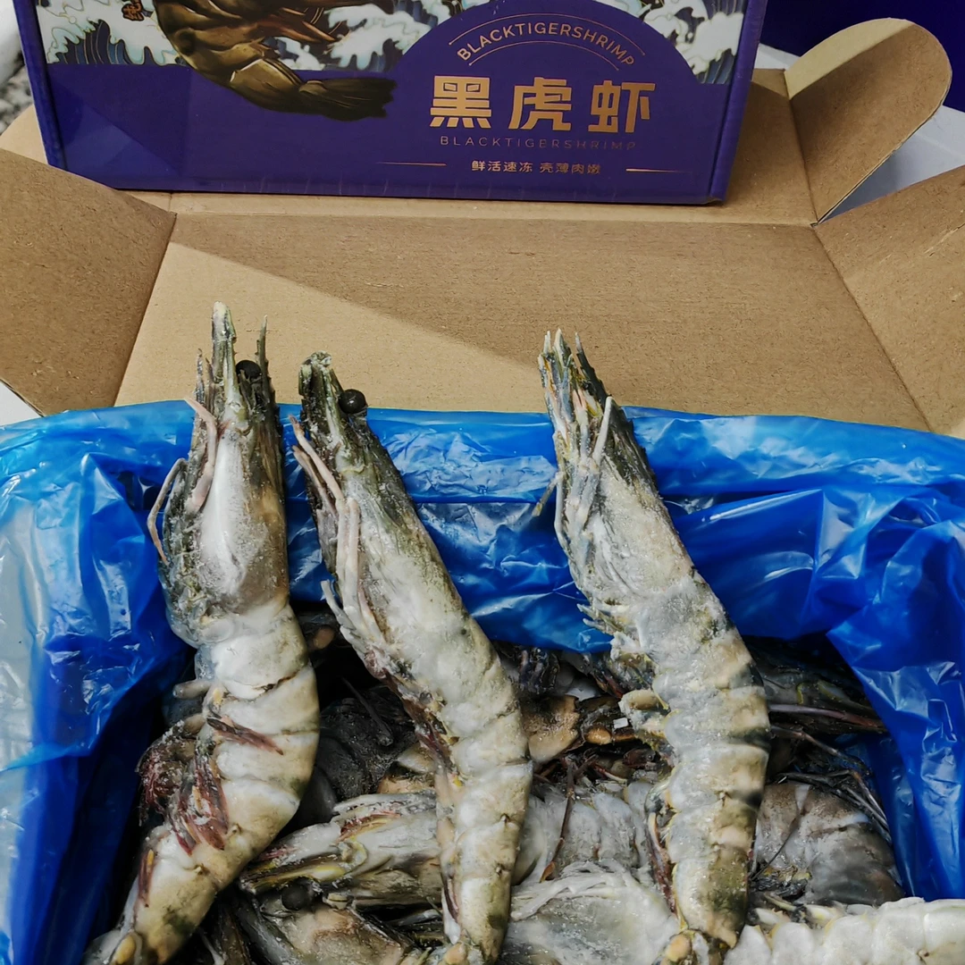 黑虎虾 大号黑虎虾 1620黑虎虾
