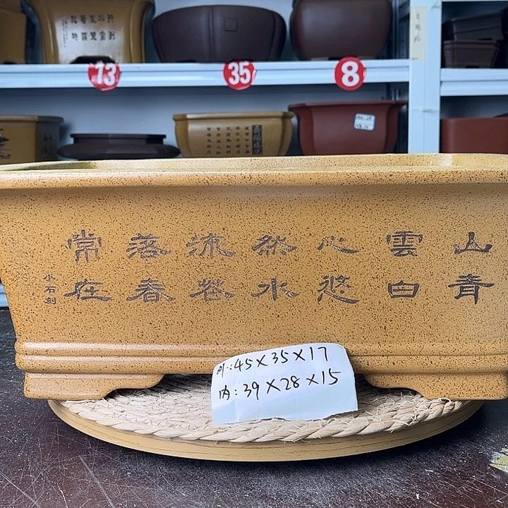 花盆紫砂你在一起